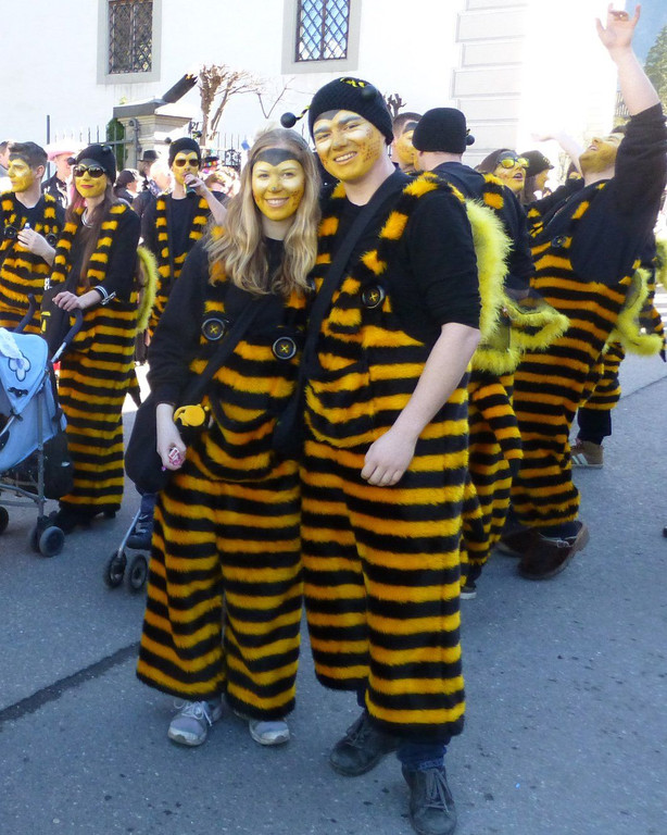Umzug31Bienen.jpg
