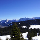 DSC08095.JPG