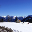DSC08097.JPG