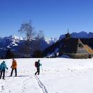 DSC08101.JPG