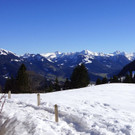 DSC08105.JPG