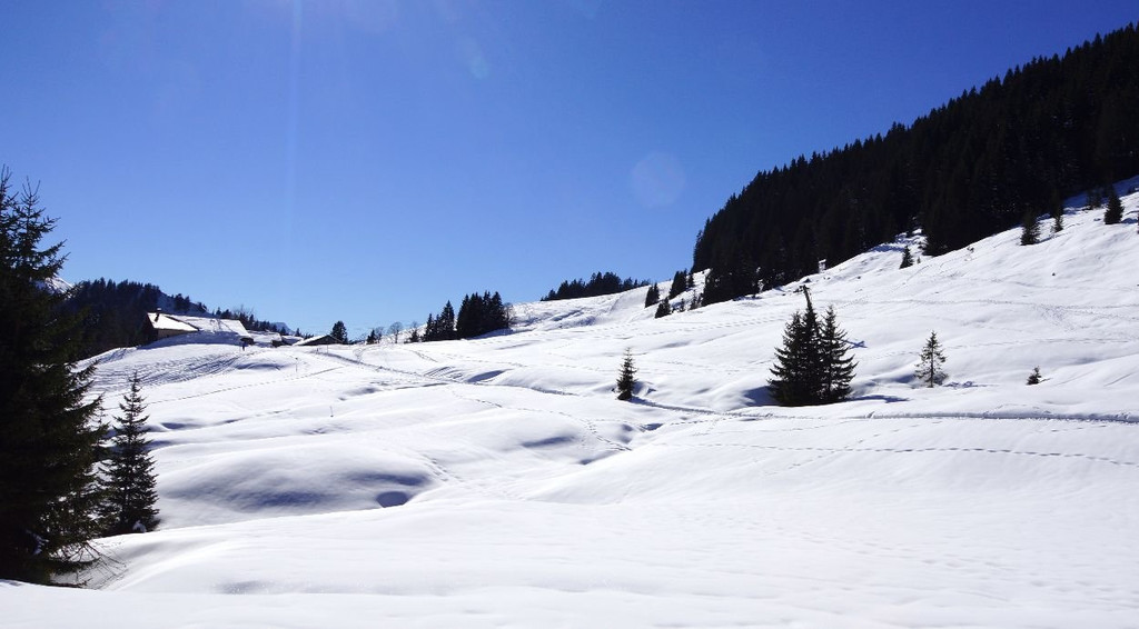 DSC08114.JPG
