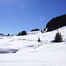 DSC08114.JPG