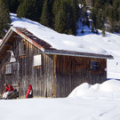 DSC08113.JPG