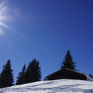 DSC08118.JPG