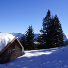DSC08120.JPG