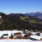 DSC08140.JPG