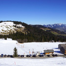 DSC08141.JPG