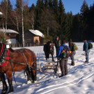 DSC08145.JPG