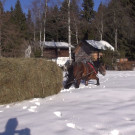 DSC08868.JPG