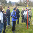 Baumschnitt 2014