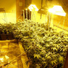 26-02-2014 16-23-06.jpg