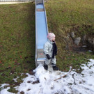Rettet die Schneek__nigin _30_.JPG