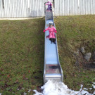 Rettet die Schneek__nigin _31_.JPG