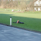 normal_08042010vub1ffaktivnews_15.jpg