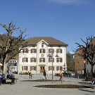 _c_ Gerhard Scopoli - Faschingsdekoration Schruns - 104.jpg
