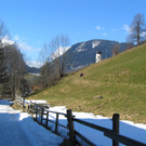 IMG_2316.JPG