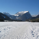 IMG_2331.JPG