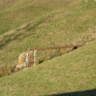 IMG_2334.JPG
