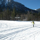 DSC_0423.JPG