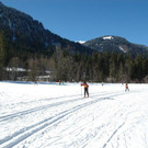 DSC_0432.JPG