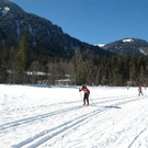 DSC_0433.JPG