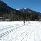 DSC_0437.JPG