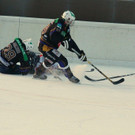 k-IMG_6559.JPG