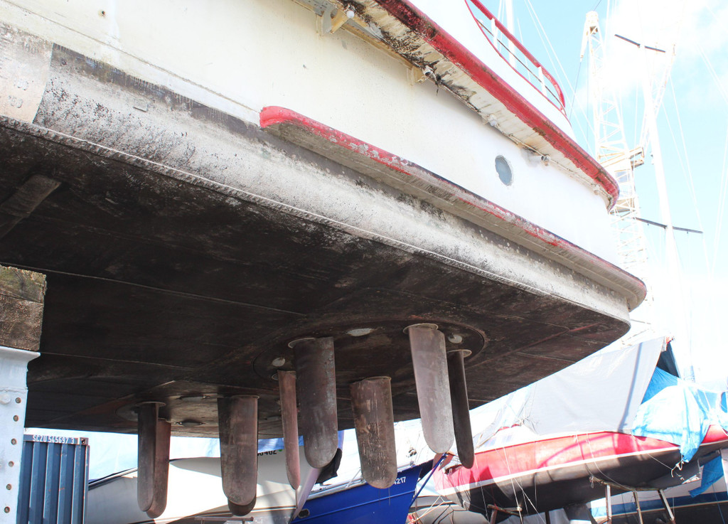 Schiff MS Austria b.jpg