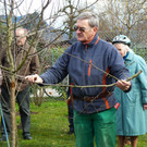 Winterschnittkurs