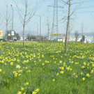 DSCN9396.JPG