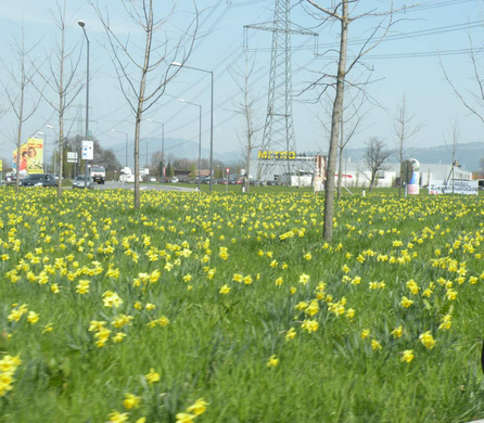 DSCN9396.JPG