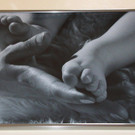 k-IMG_9651.jpg