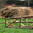 Funken in Gaißau
