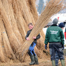 Funken Fu__ach Tag 17-02-2013 154.jpg