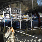 DSCN0475.JPG