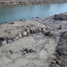 DSCN0656.JPG