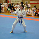 Karate Lions Cup 2014