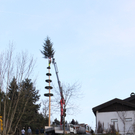Buergermeisterbaum Aufstellung 2010 _1__jpg-1270750036
