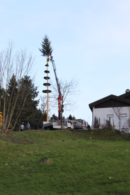 Buergermeisterbaum Aufstellung 2010 _1__jpg-1270750036