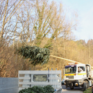 Buergermeisterbaum Aufstellung 2010 _2__jpg-1270750062