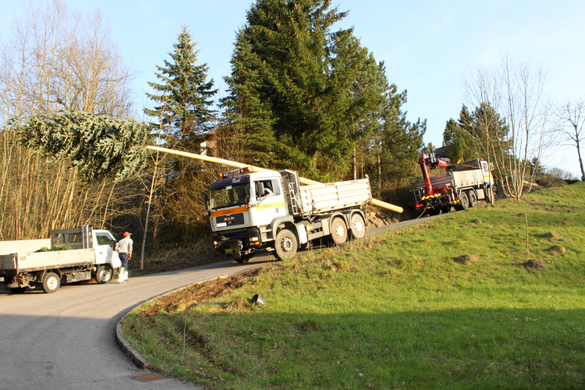 Buergermeisterbaum Aufstellung 2010 _3__jpg-1270750091