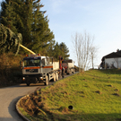 Buergermeisterbaum Aufstellung 2010 _4__jpg-1270750117