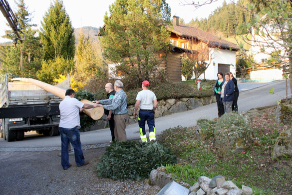 Buergermeisterbaum Aufstellung 2010 _8__jpg-1270750221