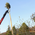 Buergermeisterbaum Aufstellung 2010 _10__jpg-1270750266