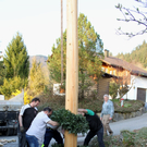 Buergermeisterbaum Aufstellung 2010 _11__jpg-1270750292