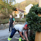 Buergermeisterbaum Aufstellung 2010 _14__jpg-1270750364