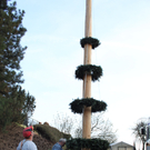 Buergermeisterbaum Aufstellung 2010 _21__jpg-1270750497