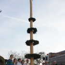 Buergermeisterbaum Aufstellung 2010 _22__jpg-1270750511