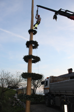 Buergermeisterbaum Aufstellung 2010 _25__jpg-1270750565